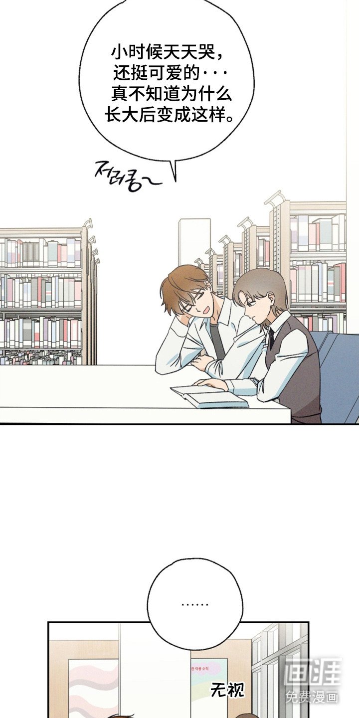 第13章：贪心