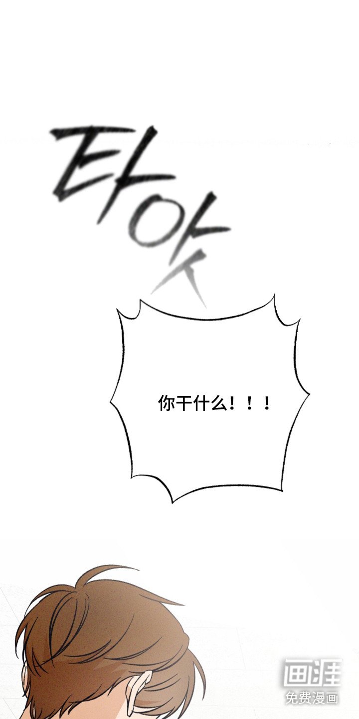 第14章：表白