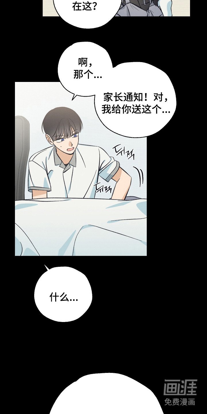 第16章：确认心意