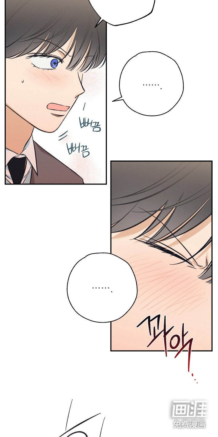 第17章：糖果戒指（完结）