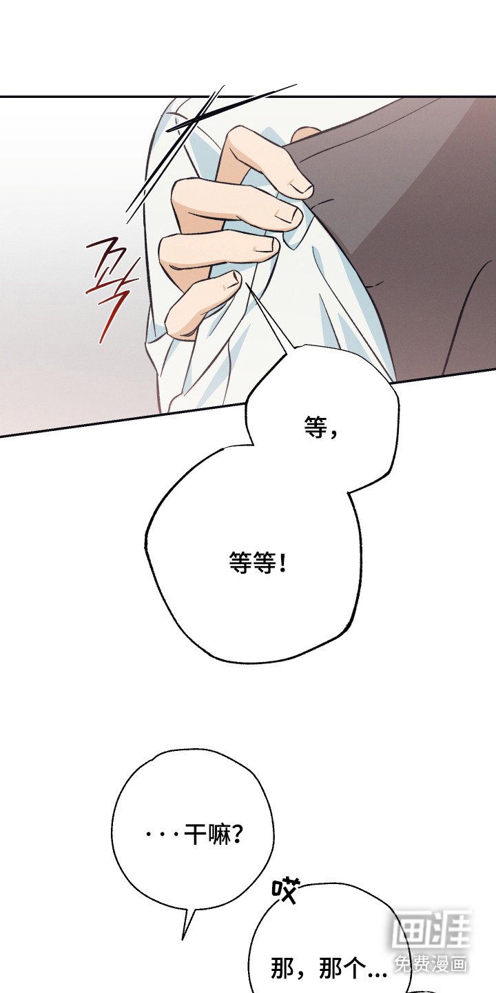 第17章：糖果戒指（完结）