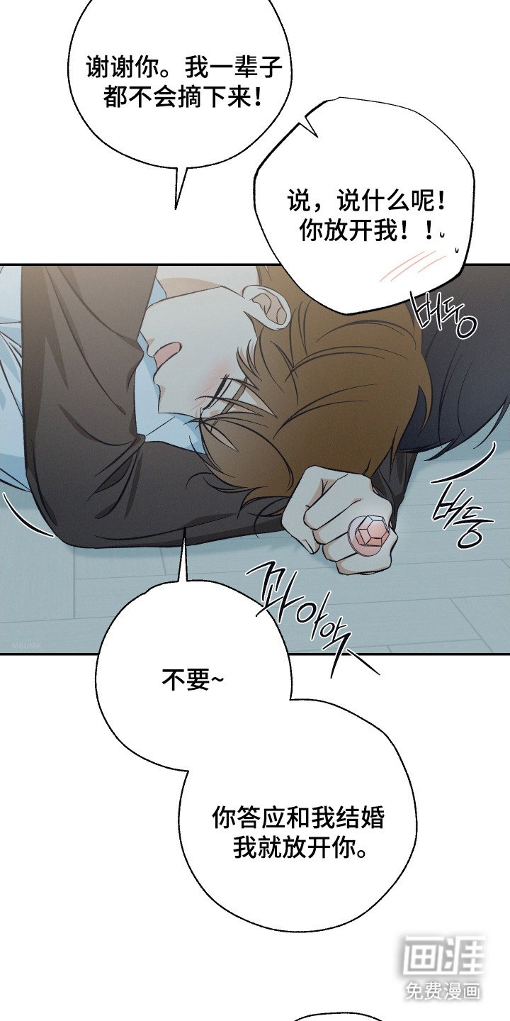 第17章：糖果戒指（完结）