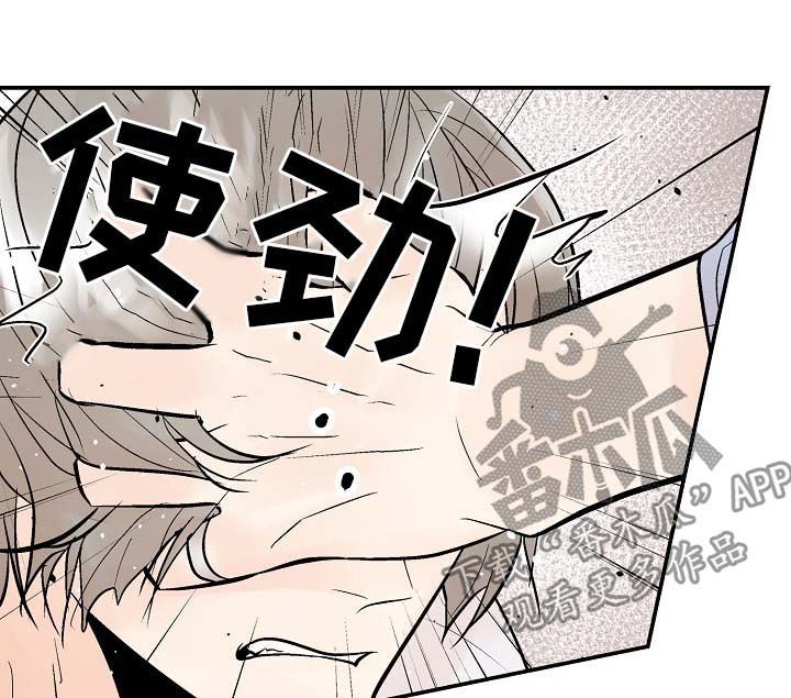 第36章：让我看看