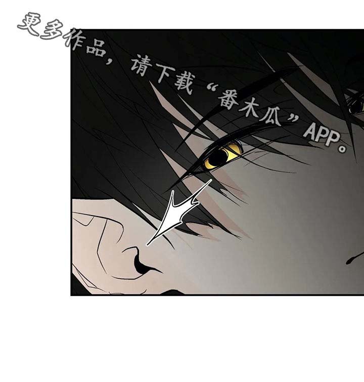 第41章：我的就是你的