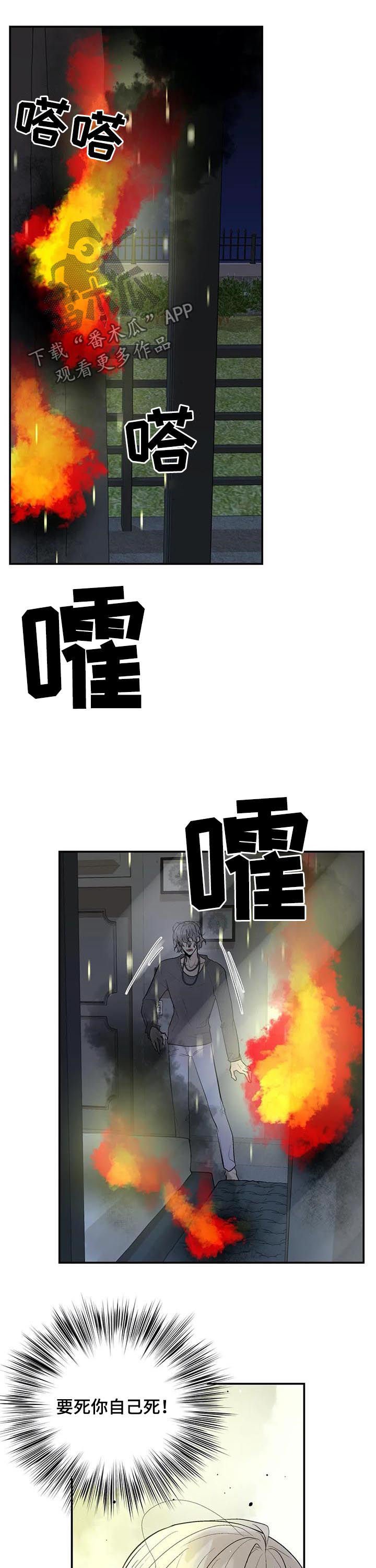 第75章： 消失了
