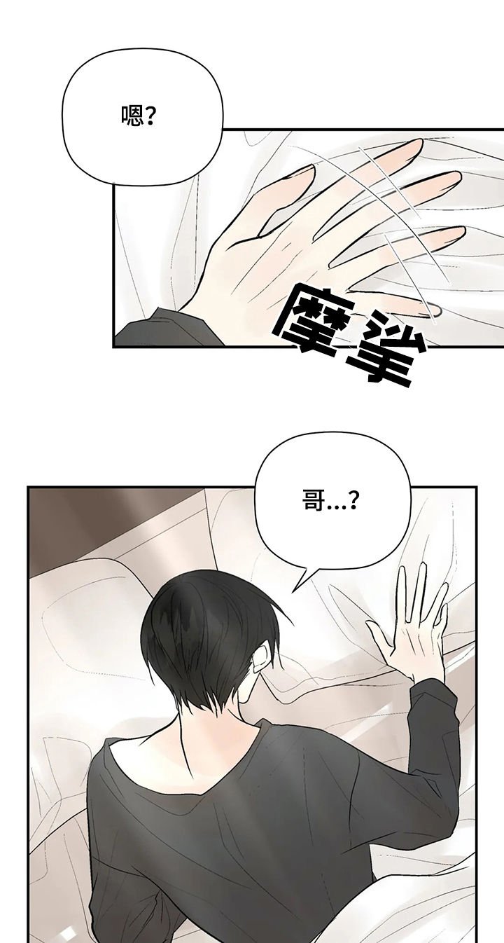 第80章：我爱你（完结）