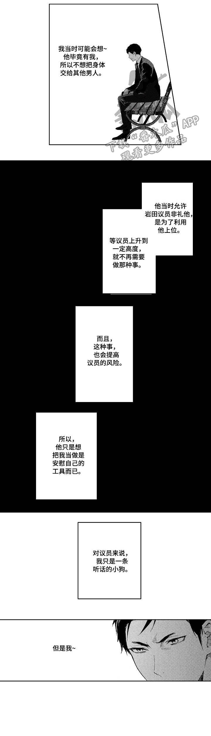 第12章：实情