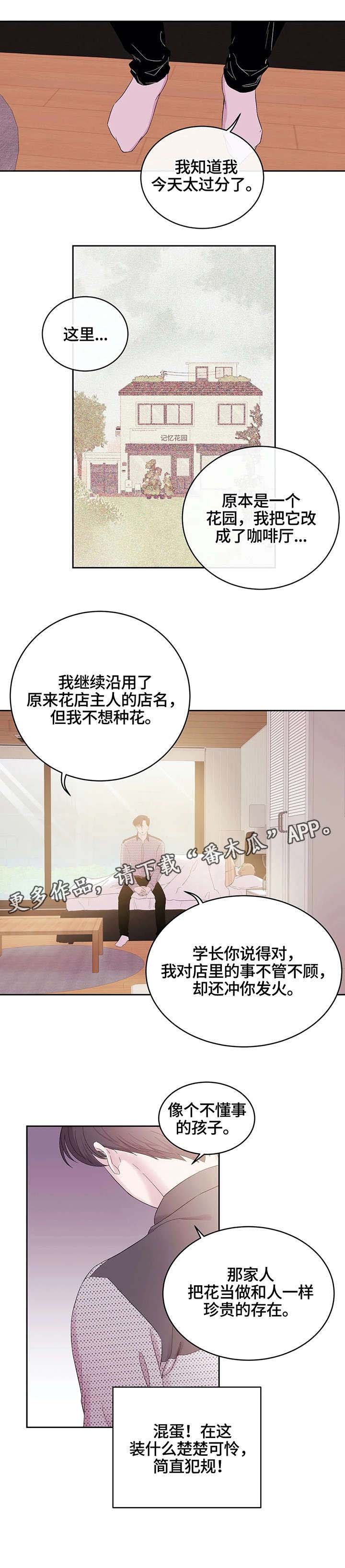第22章：满天星