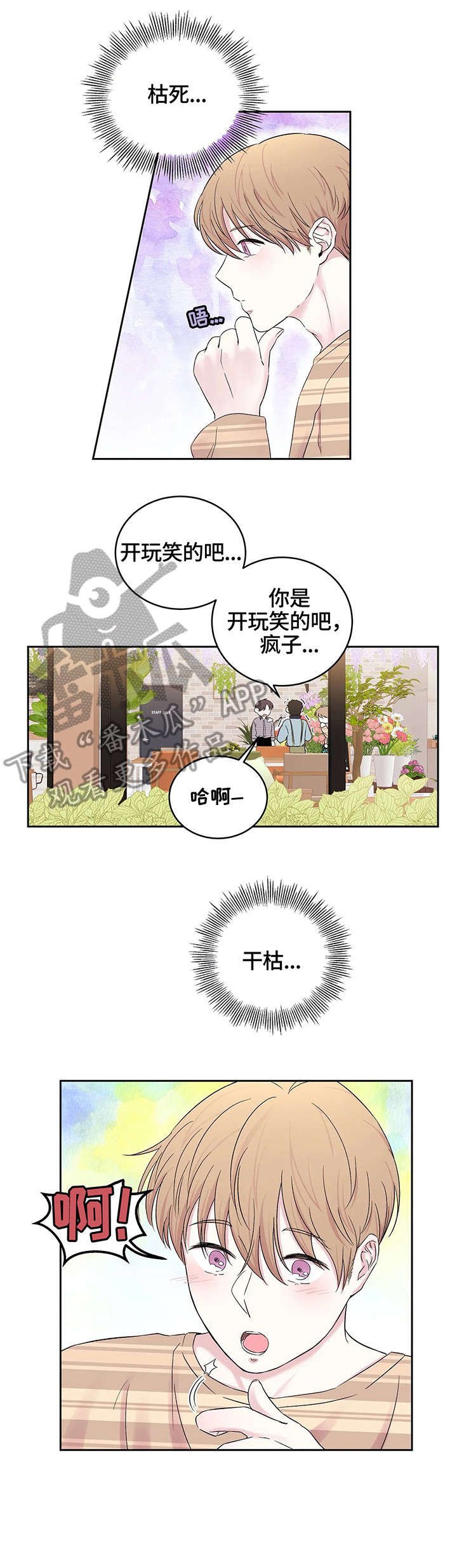 第23章：干花
