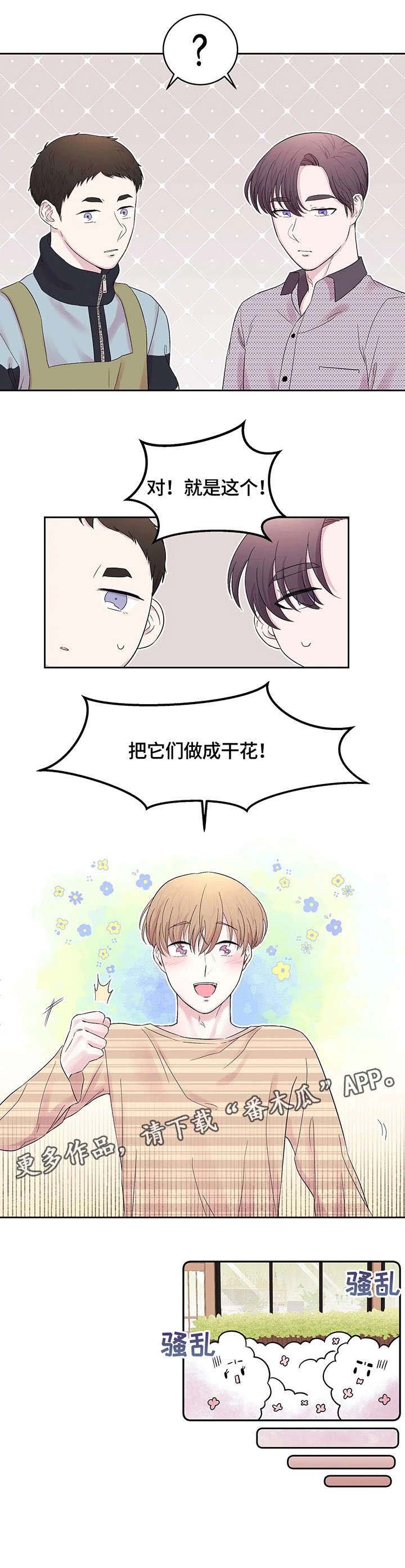 第23章：干花