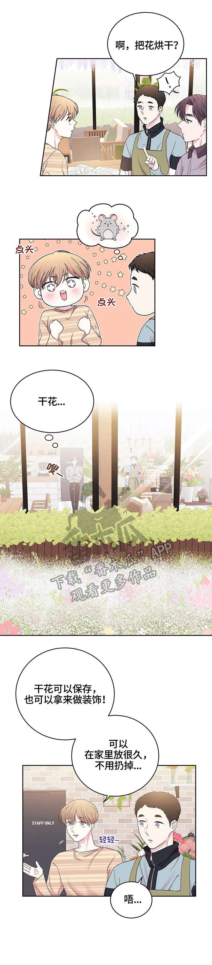 第23章：干花