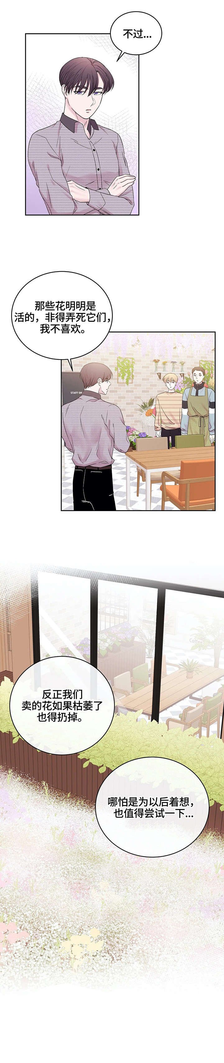 第23章：干花