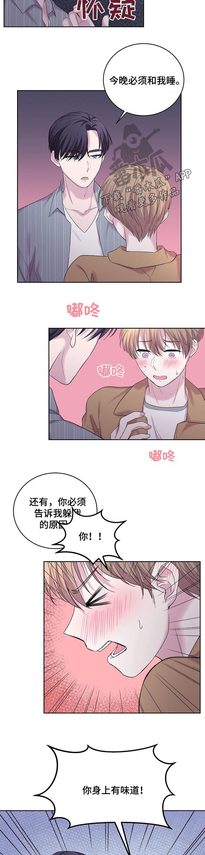 第36章：味道