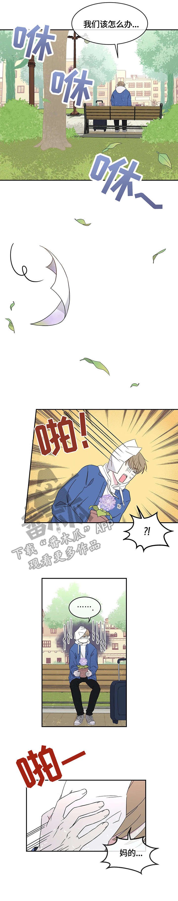 第4章：记忆花园