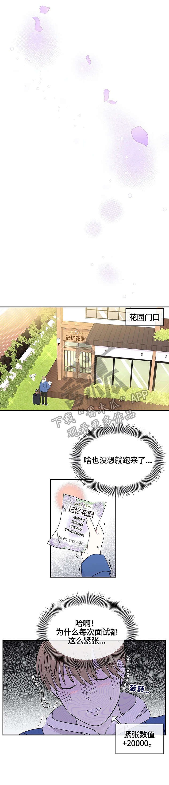 第4章：记忆花园