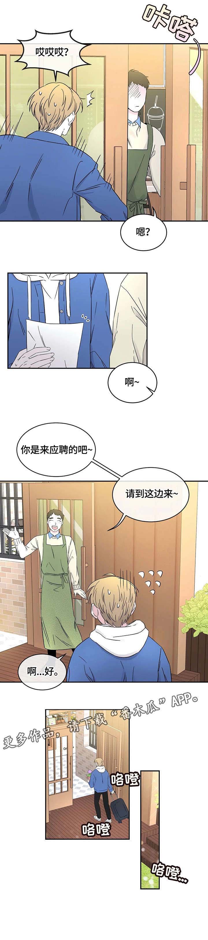 第4章：记忆花园