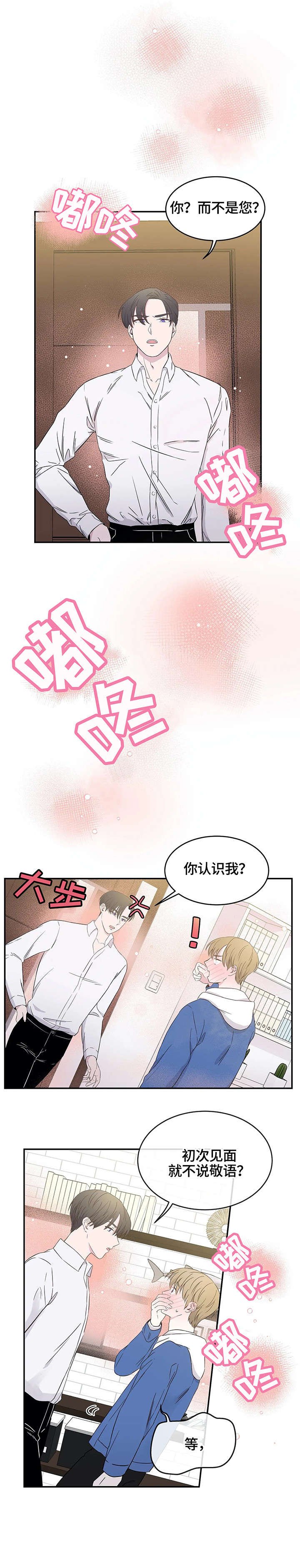 第4章：记忆花园