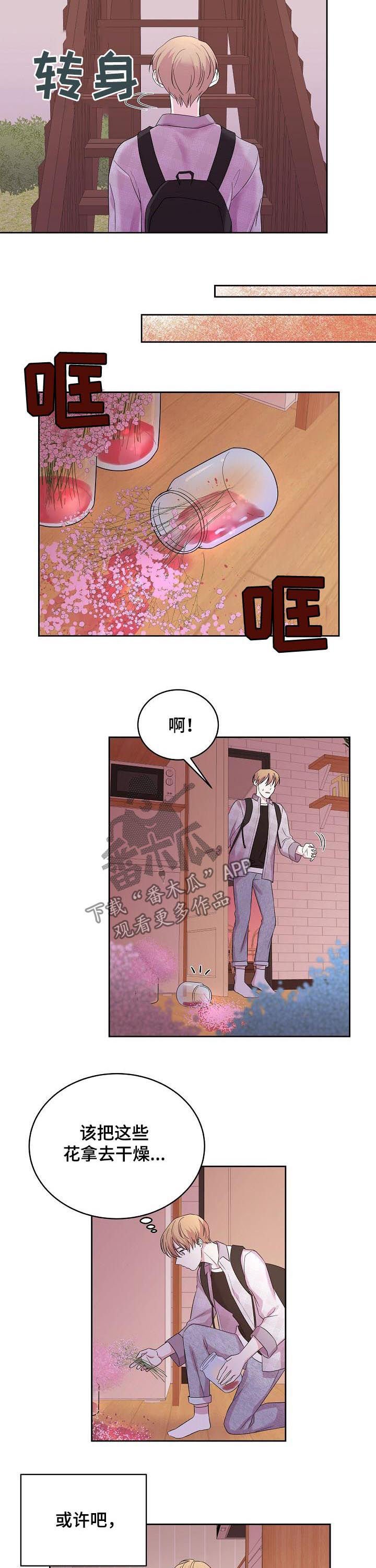 第49章：成熟一点