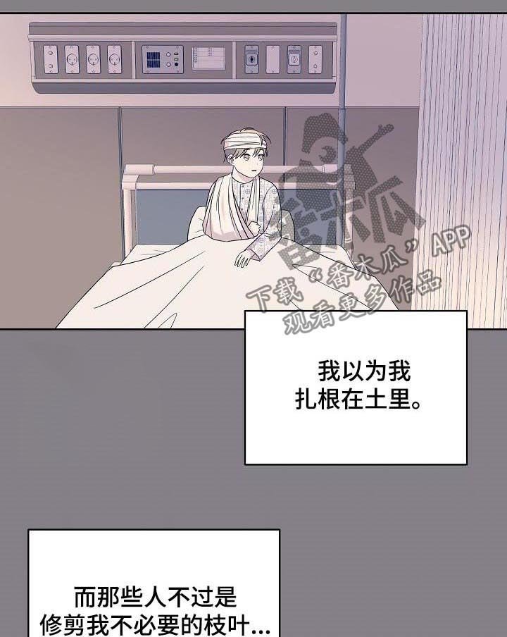 第49章：成熟一点