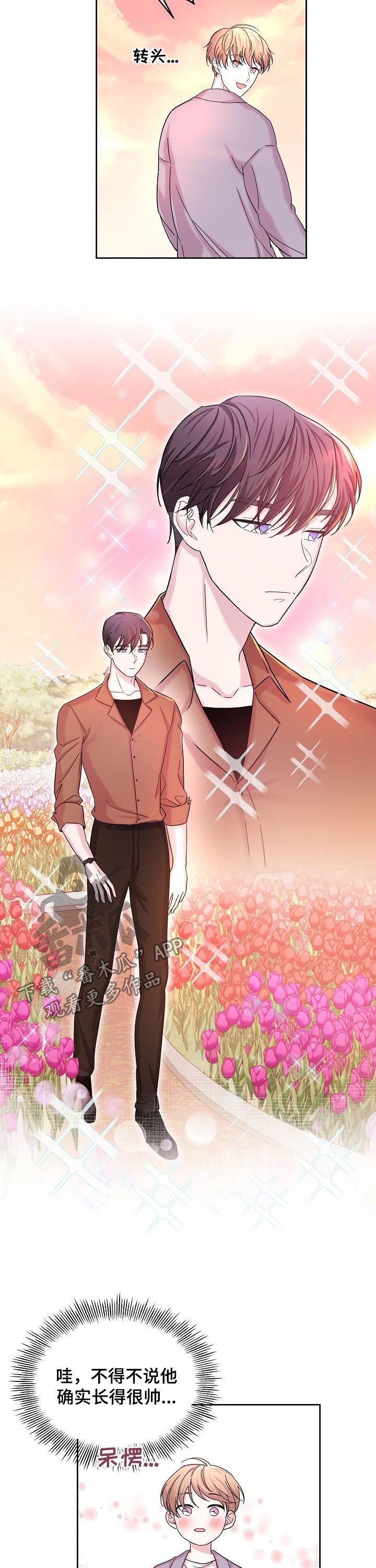 第61章：花海