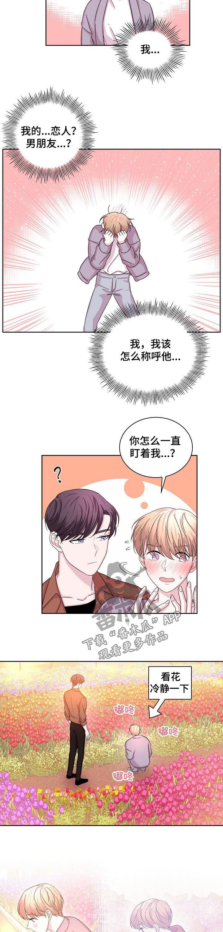 第61章：花海