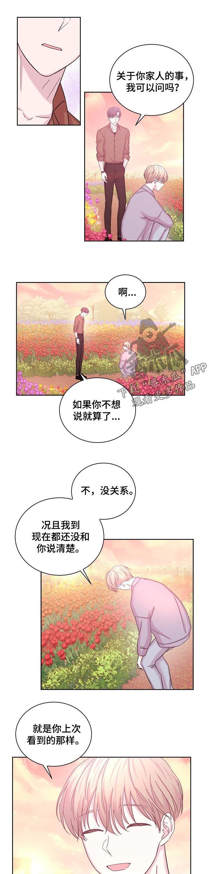 第61章：花海