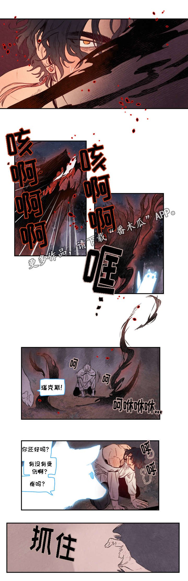 第12章：选择
