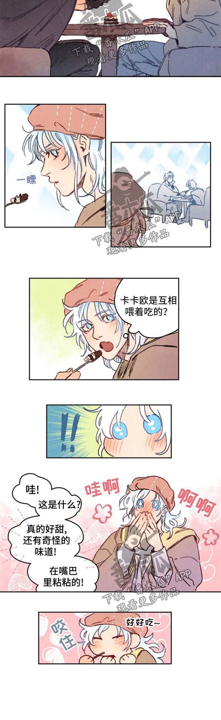 第21章：喂食