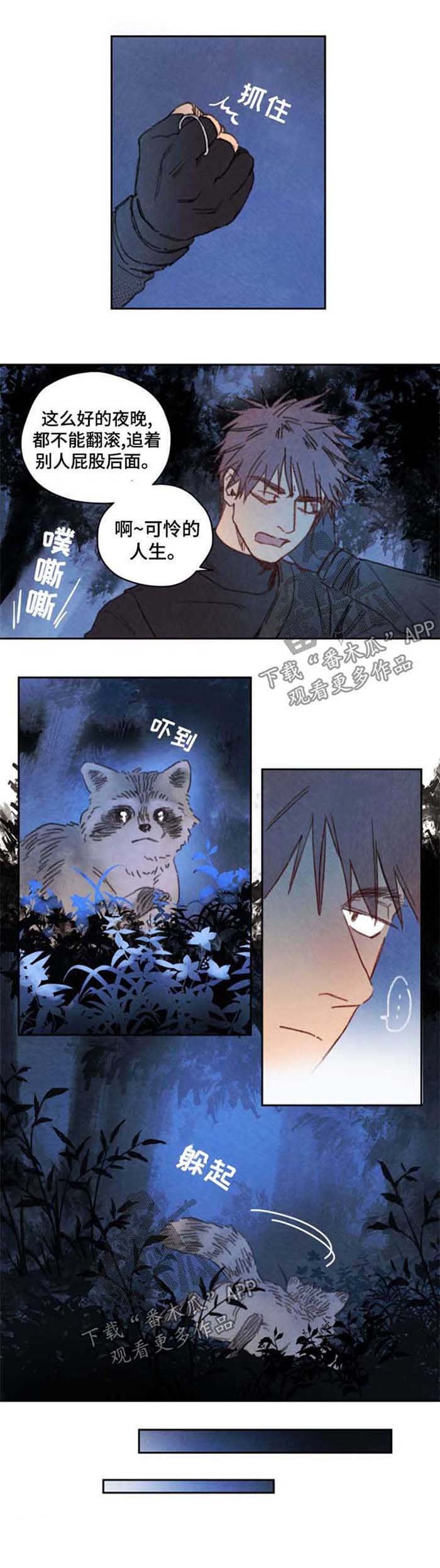 第42章：可怜的人生