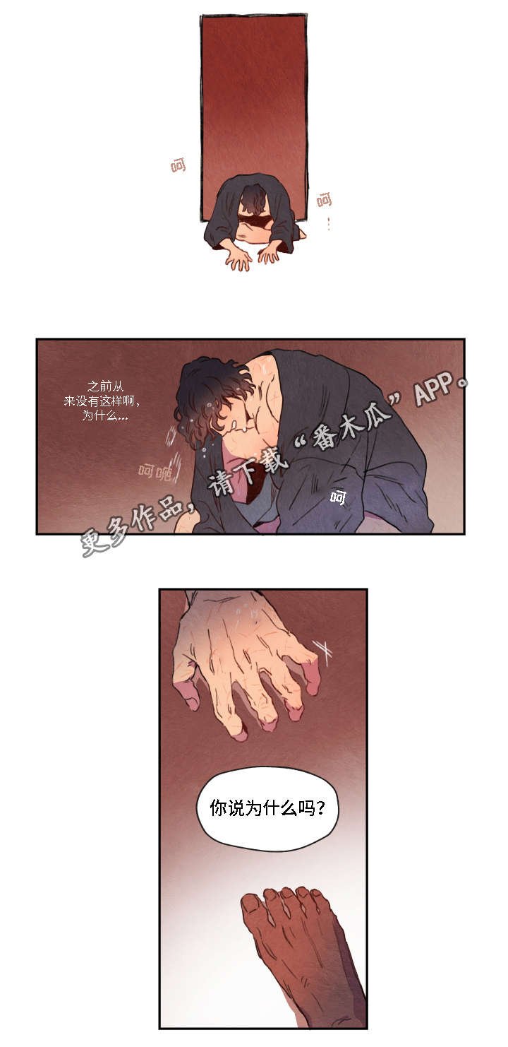 第6章：寻找