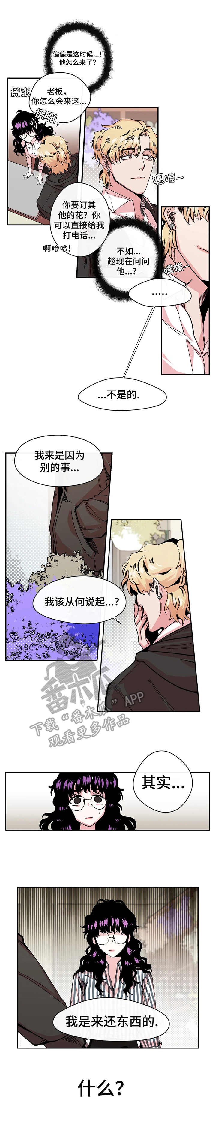 第8章：双胞胎