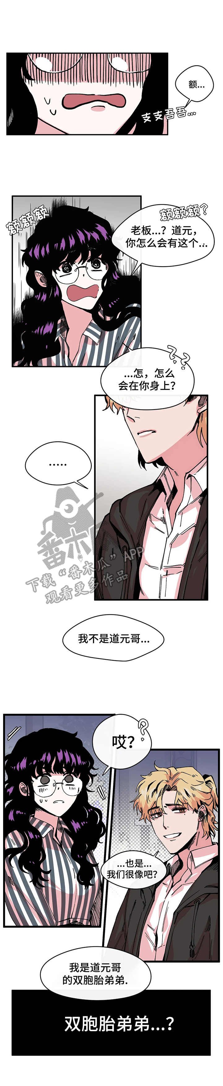 第8章：双胞胎