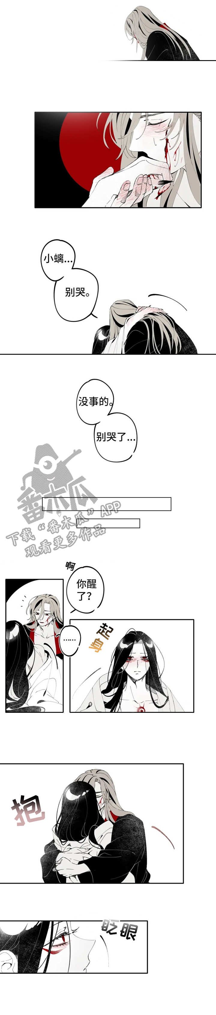 第12章：伤口