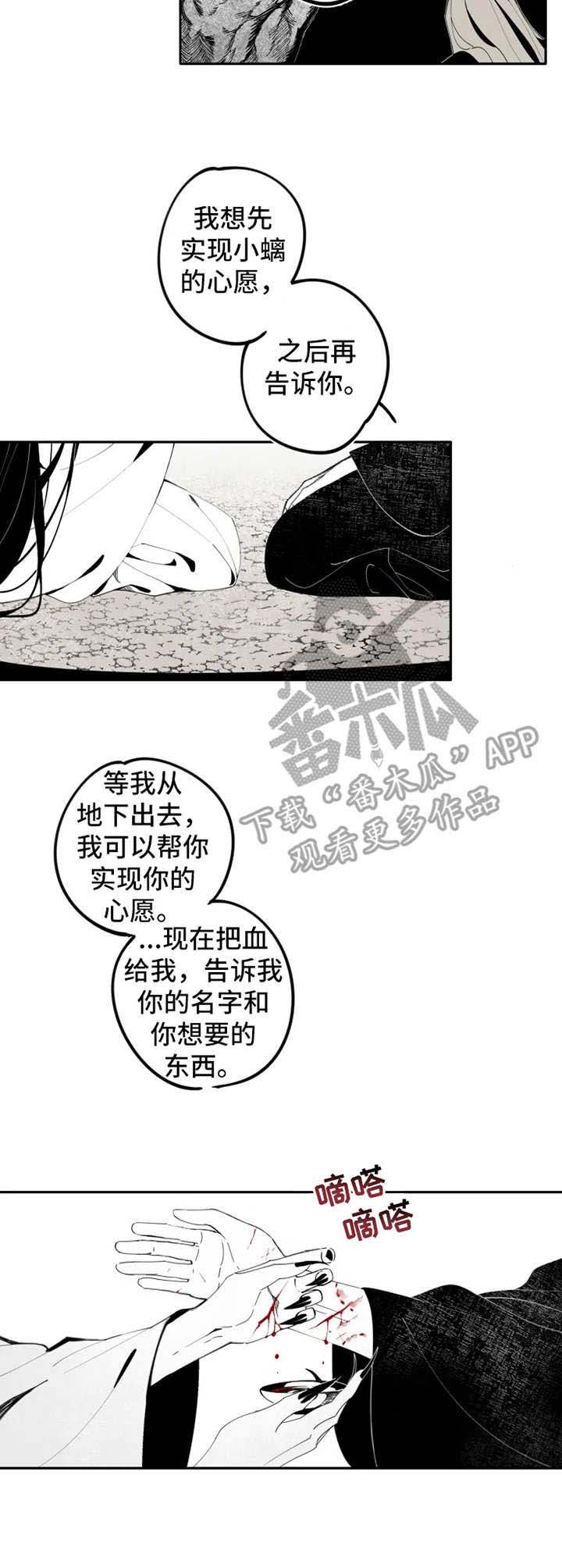 第12章：伤口