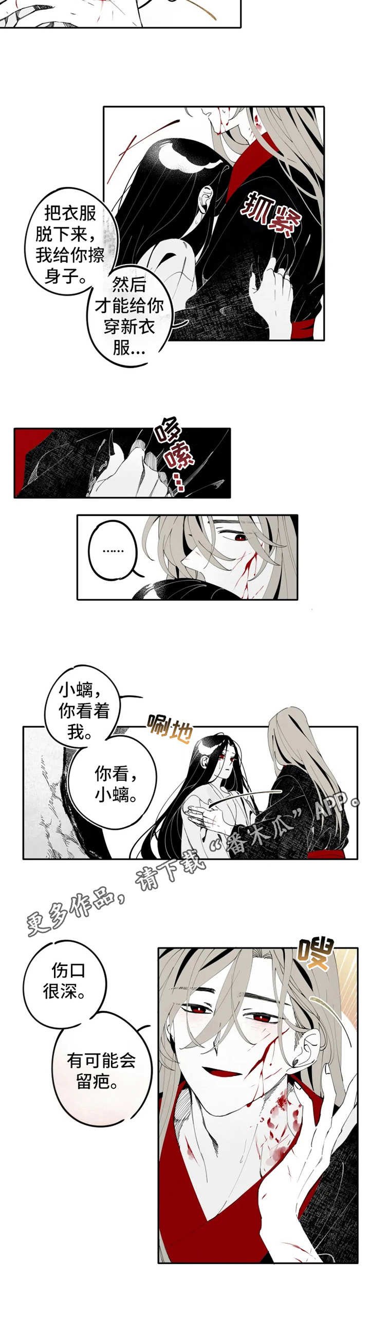 第12章：伤口