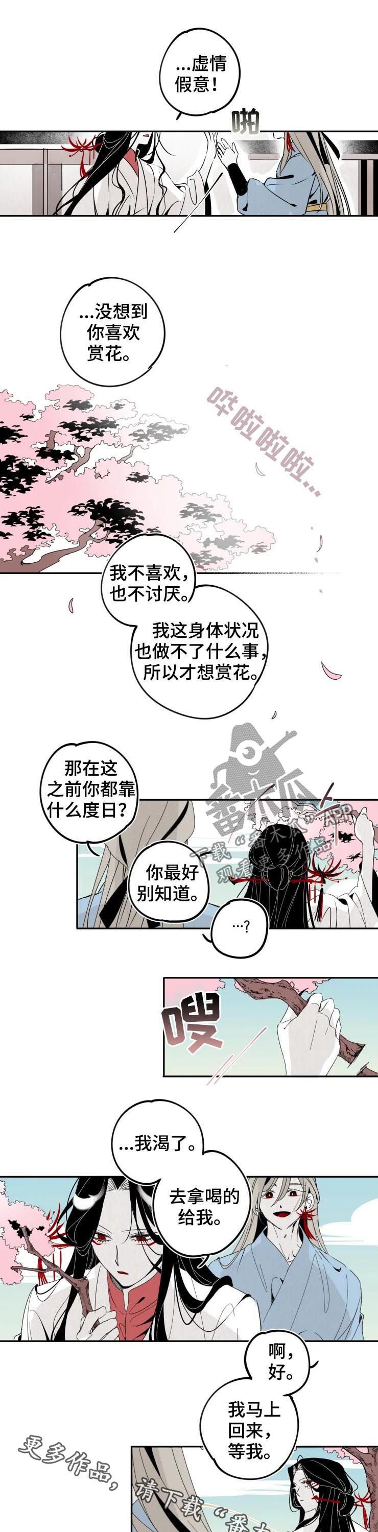 第17章：赏花