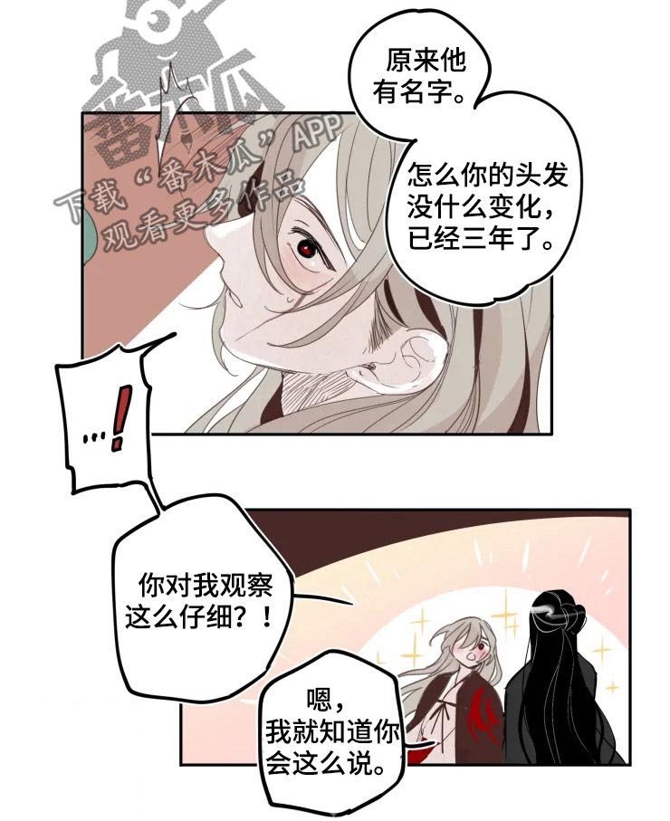 第29章：打赌