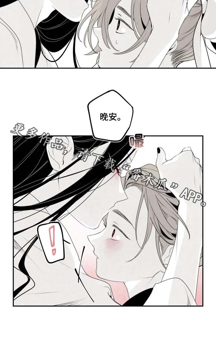 第48章：晚安