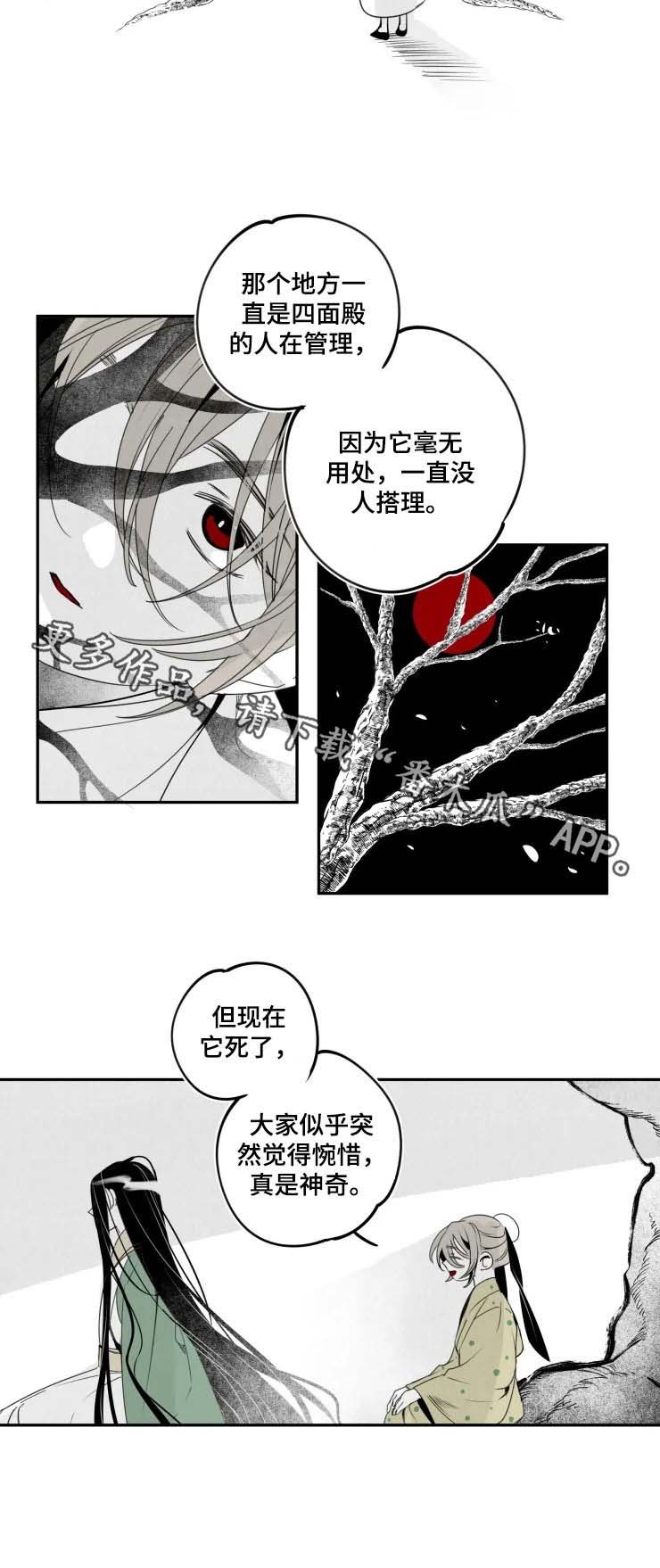 第50章：惋惜