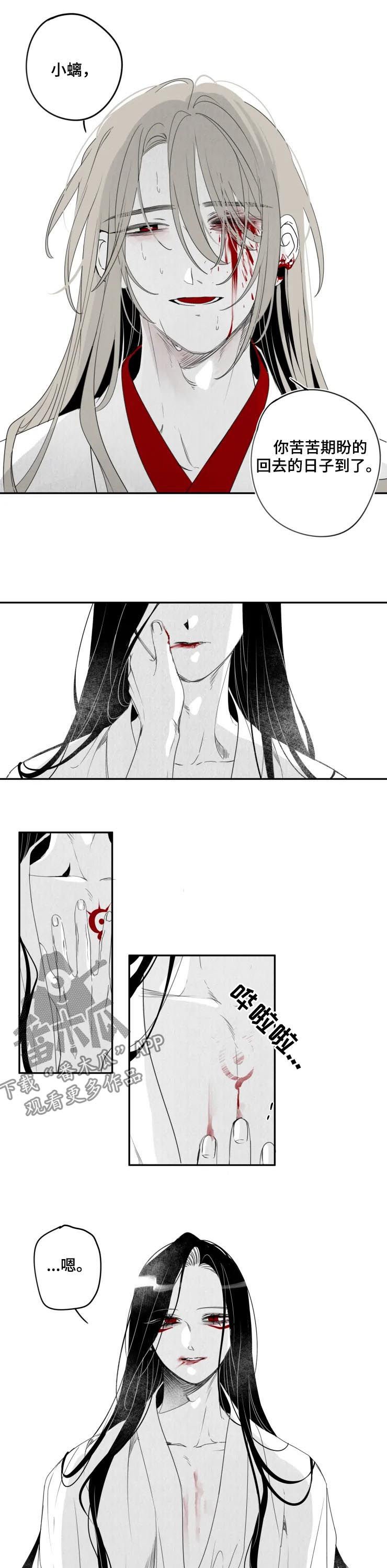 第65章：都会好起来