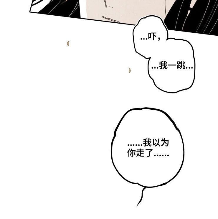 第80章：【番外】无法理解