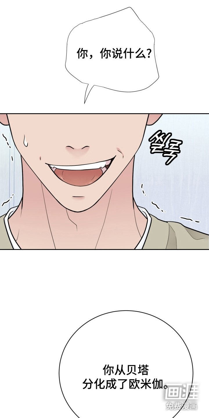 第1章：分化