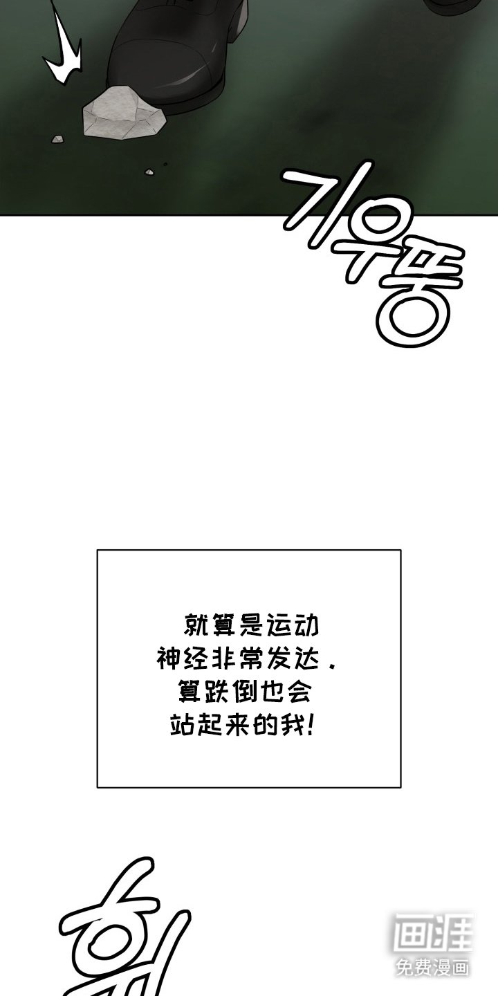 第1章：分化