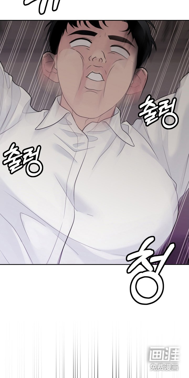 第1章：分化