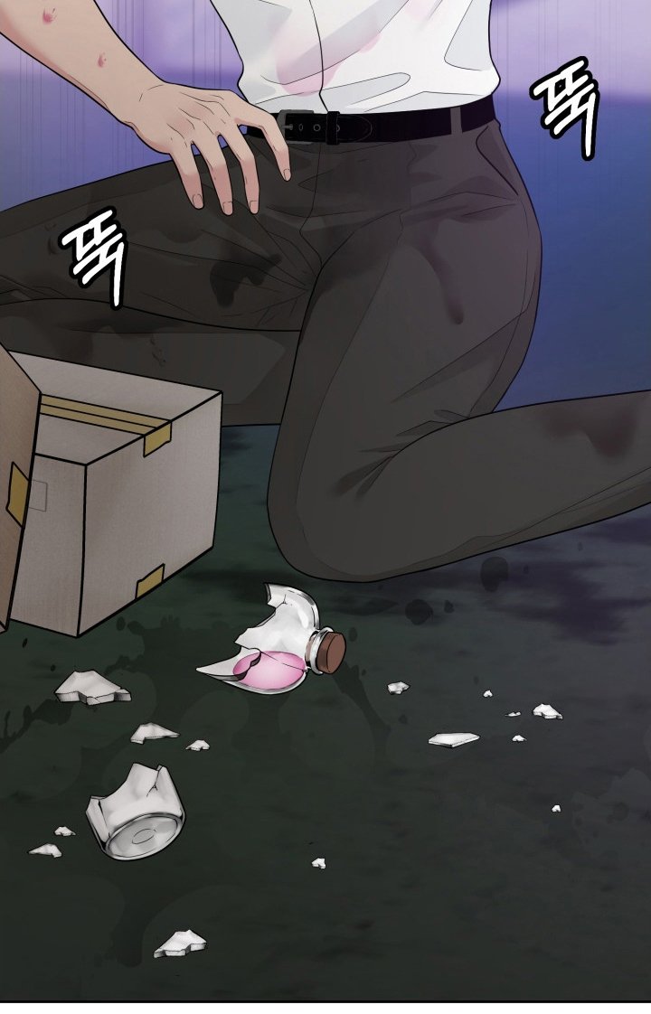 第1章：分化
