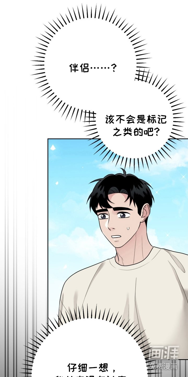 第14章：伴侣