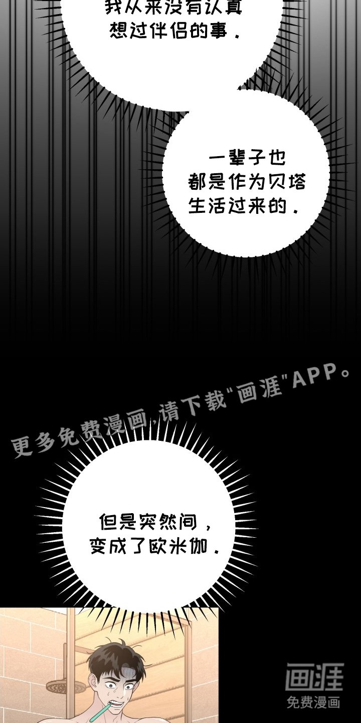 第14章：伴侣