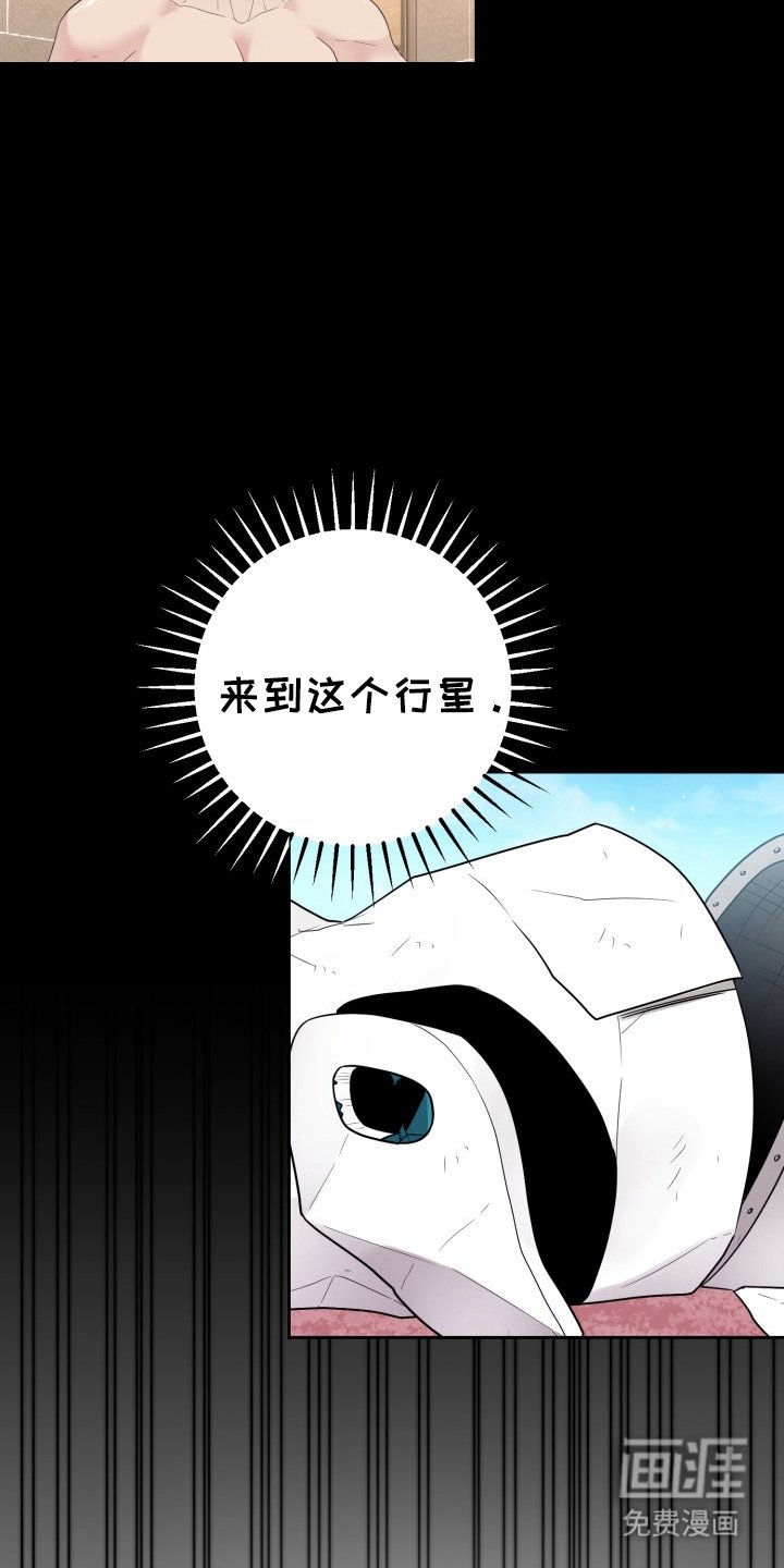 第14章：伴侣
