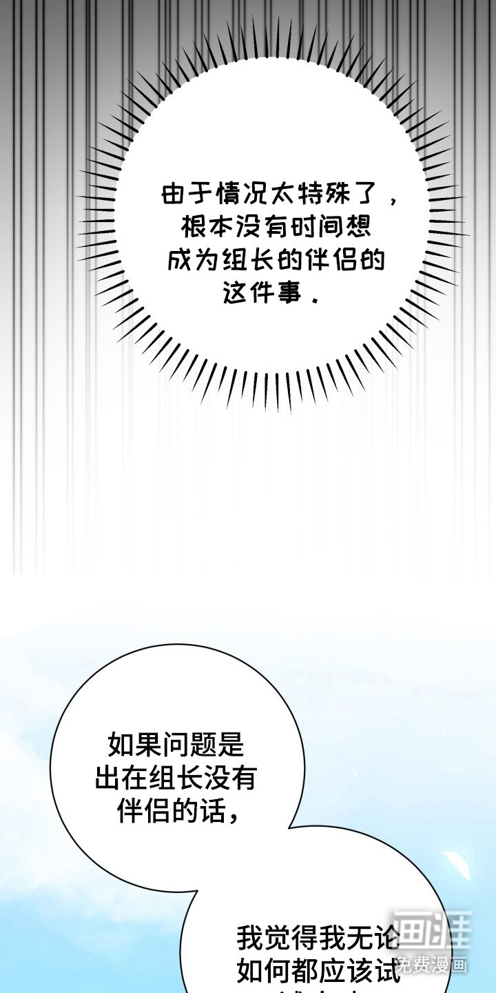 第14章：伴侣