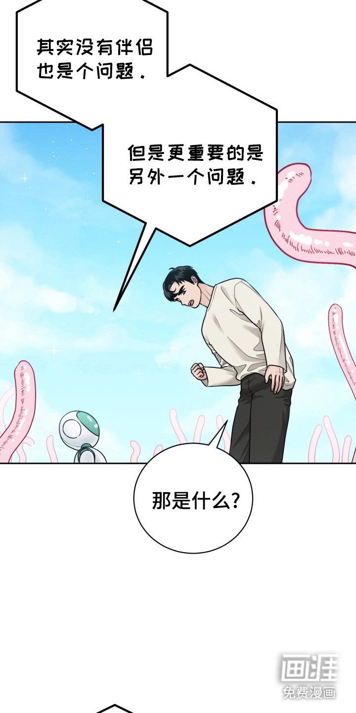 第14章：伴侣